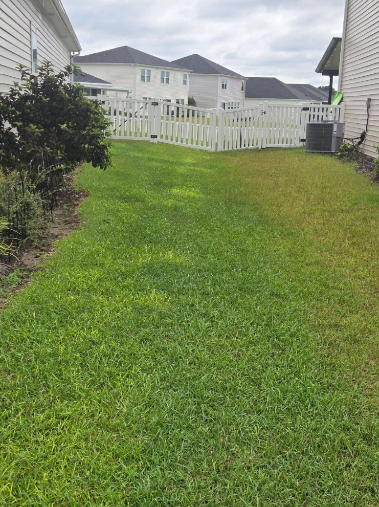 Backyard cleanup