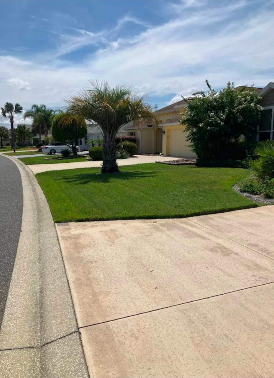 A Myrtle Beach front lawn maintained by Cameron Lawn Care