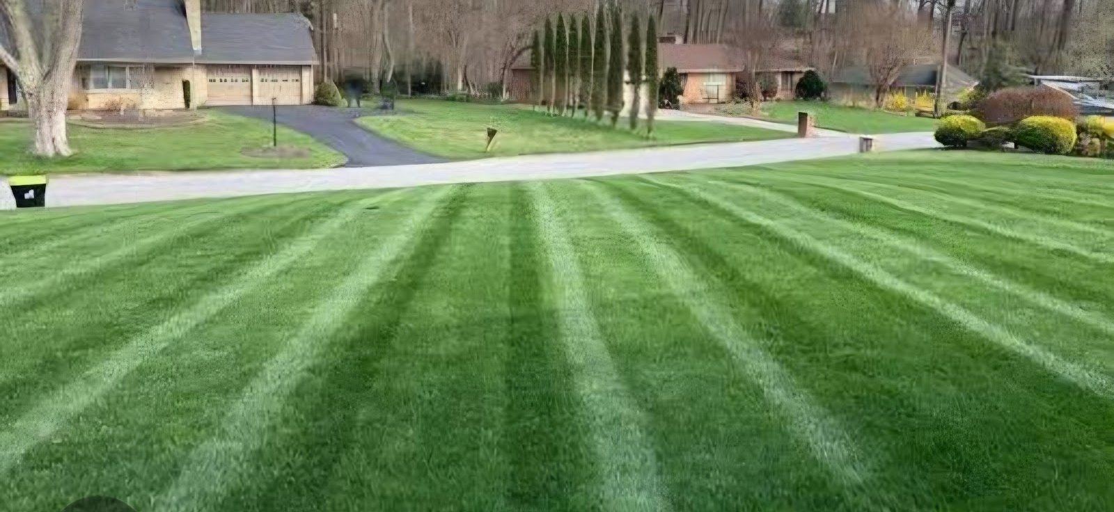 Fresh stripes, residential lawn