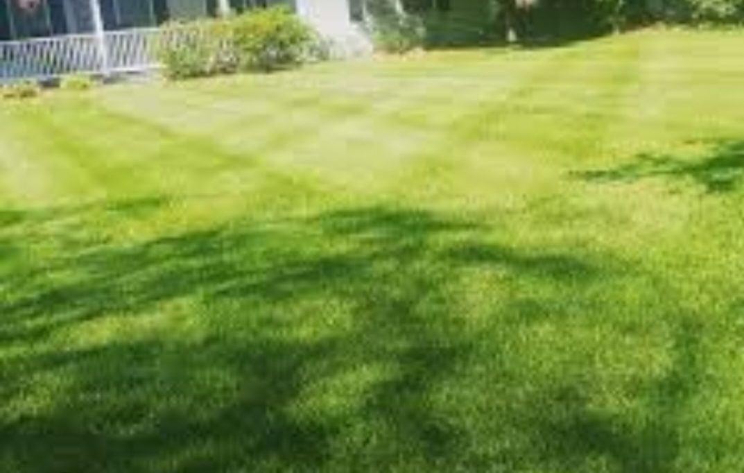 Front yard maintained by Cameron Lawn Care